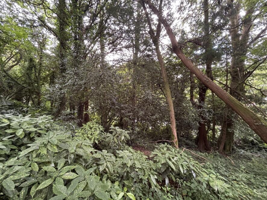 Tredrea Gardens, Perranarworthal, Truro